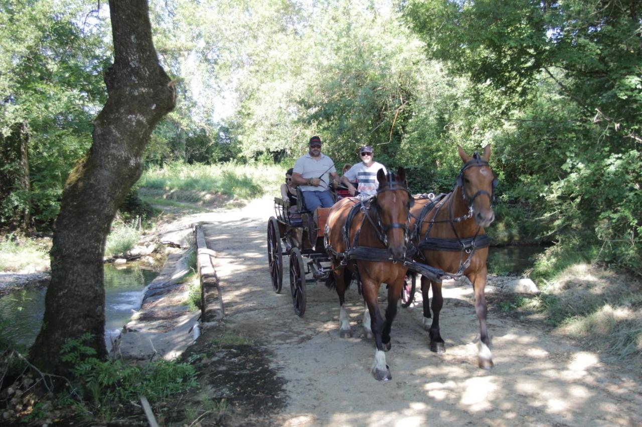 le mas de La Coste Saint-Sauveur-de-Cruzière Extérieur photo