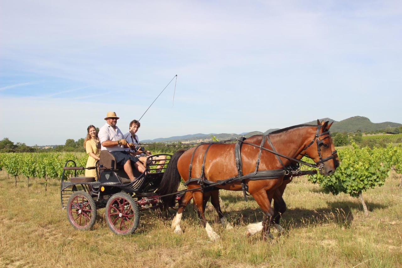 le mas de La Coste Saint-Sauveur-de-Cruzière Extérieur photo